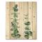 Designart - Silver Blue Eucalyptus Branch - Tropical Print on Natural Pine Wood